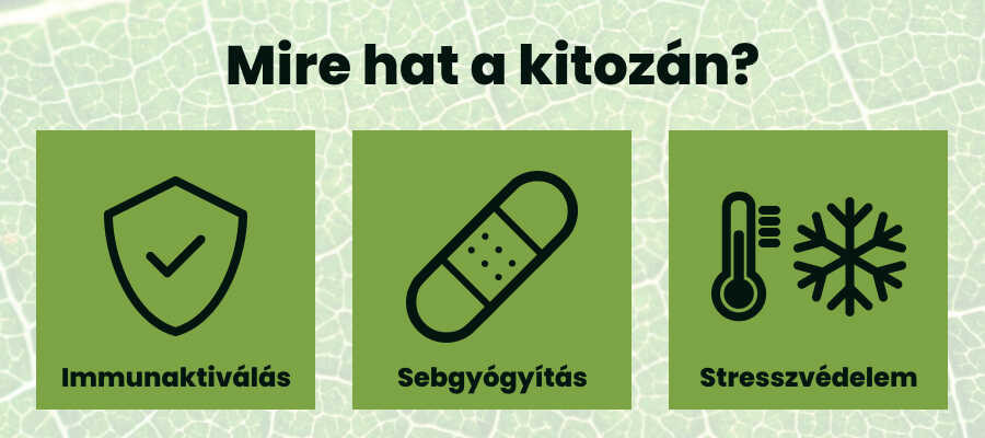 A kitozán hatása a növényekre