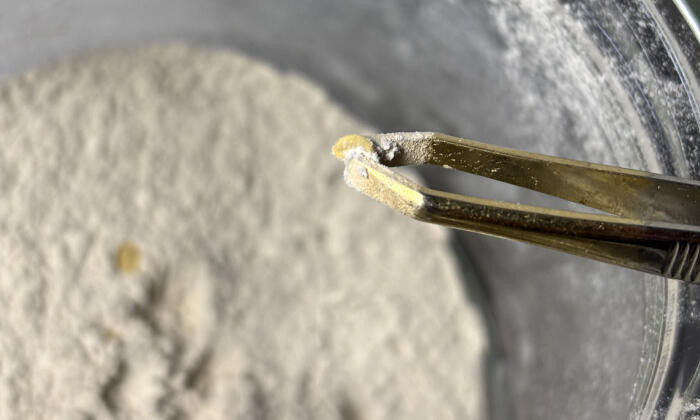 Forgassuk meg az Amazonban a magokat