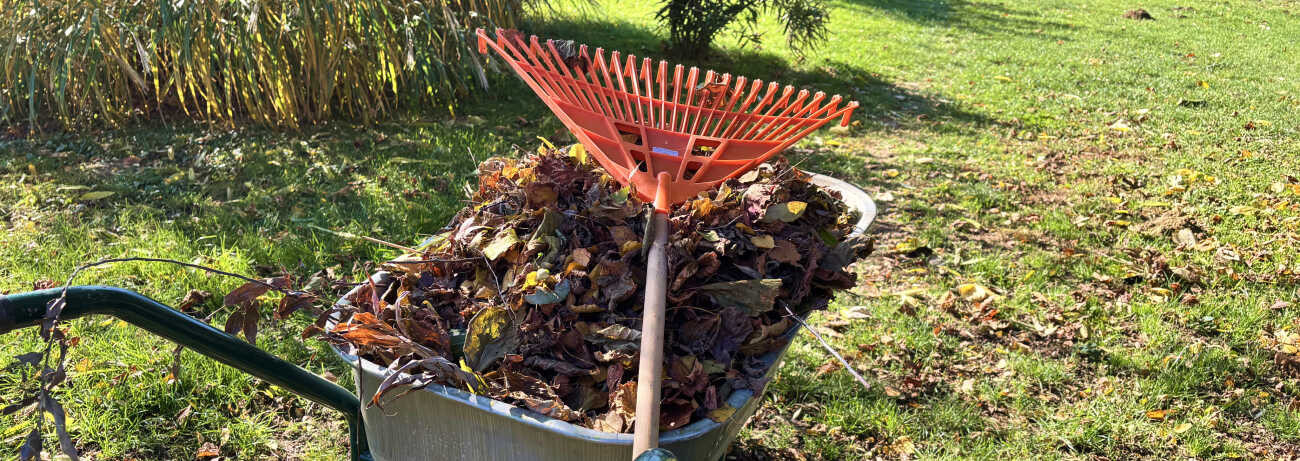 Komposztálás avarból