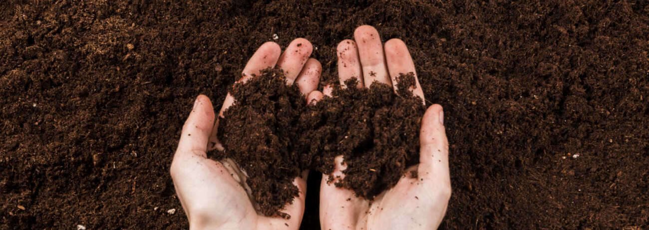 Bio tápanyag utánpótlás