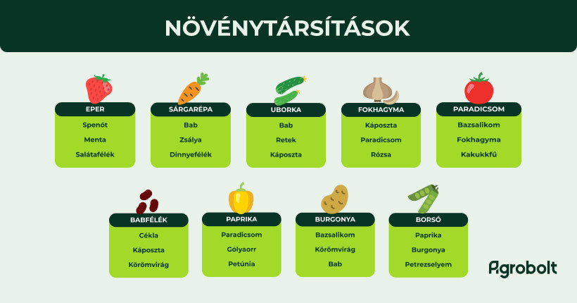 A legjobb növénytársítások