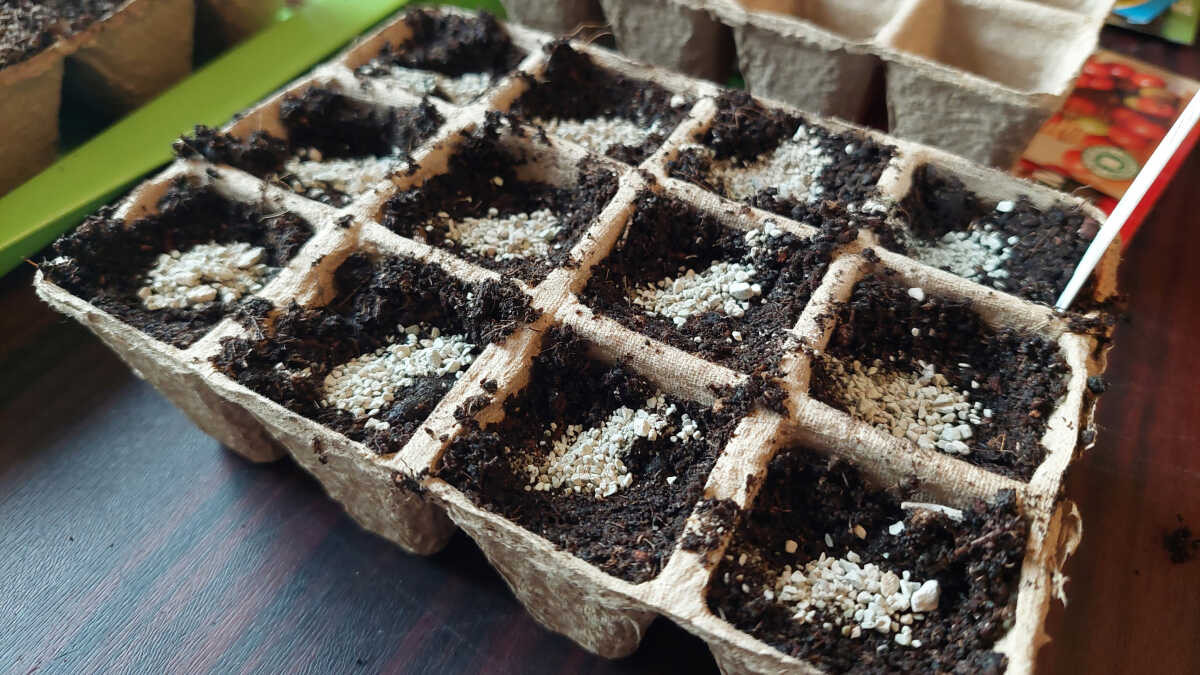 Mikorrhiza gomba használata vetéskor