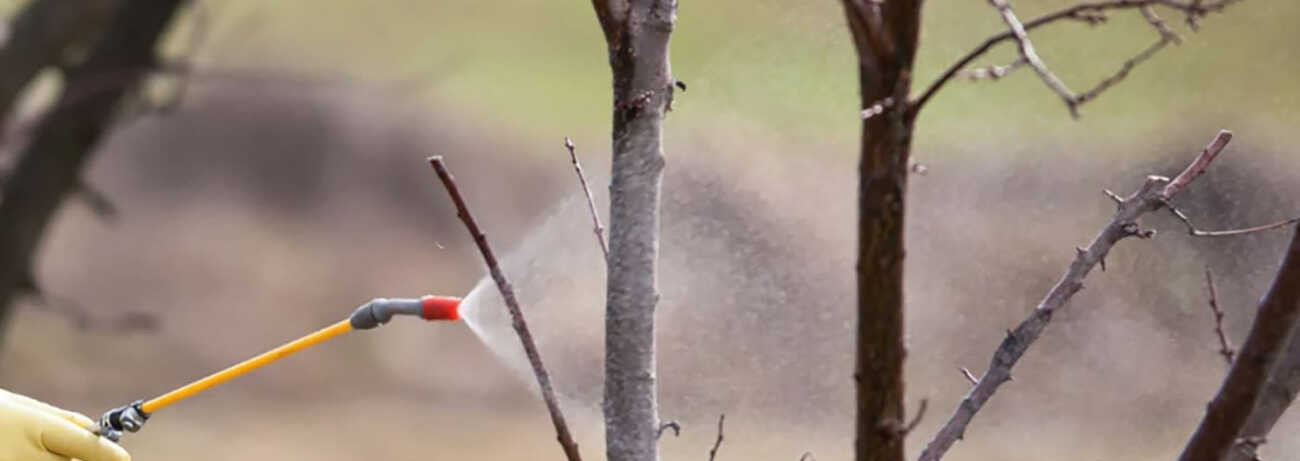 Őszi lemosó permetezés