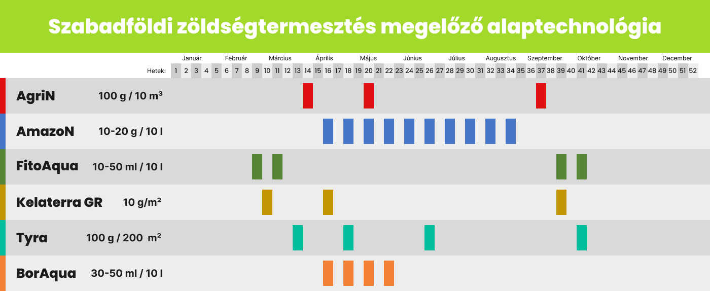 Szabadföldi bio zöldségtermesztés