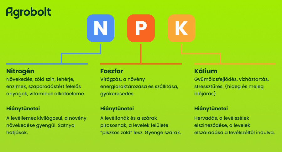 Makrotápanyagok magyarázat
