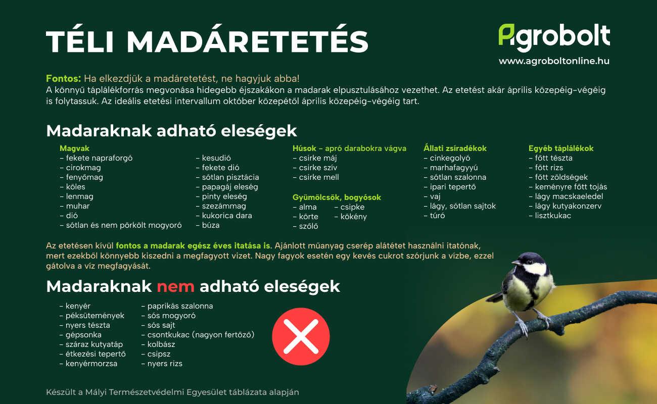 A helyes téli madáretetés