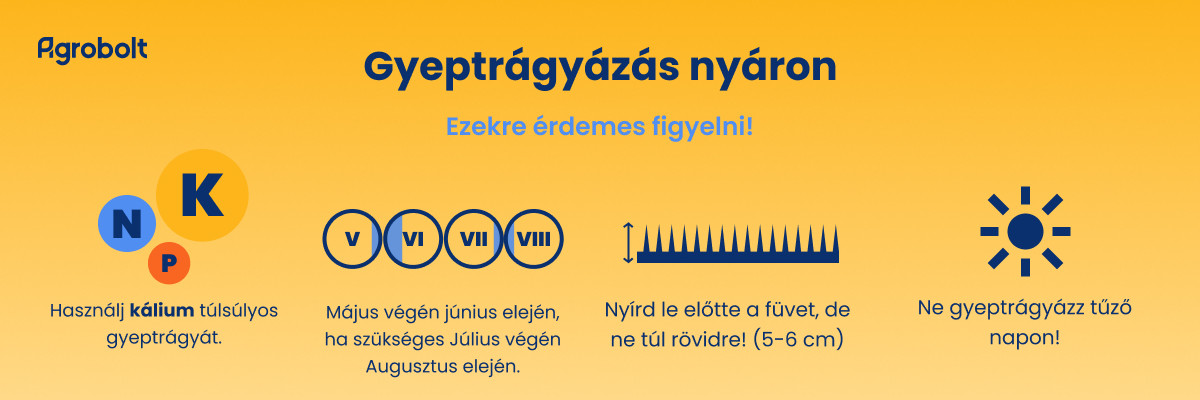 Gyeptrágyázási tippek nyárra