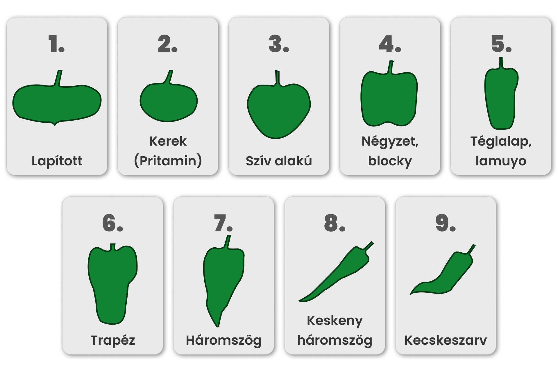 Paprika termésének alakjai