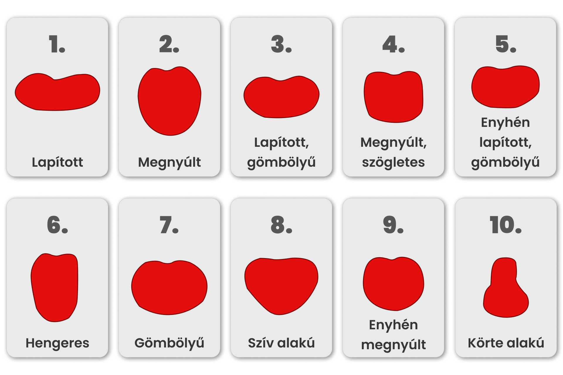 Paradicsom gyümölcsének alakjai