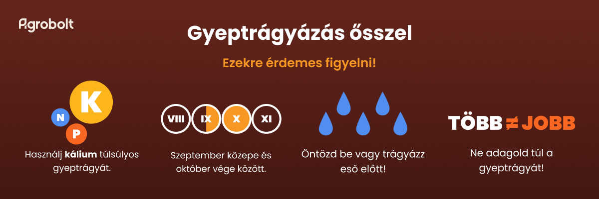 Gyeptrágyázás ősszel tippek