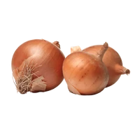 Hagyma vetőmagok