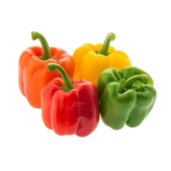 Paprika vetőmagok