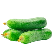Uborka vetőmagok