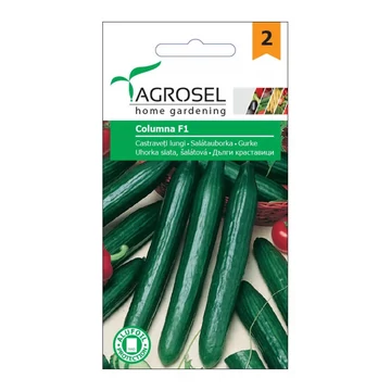 Uborka vetőmag Columna F1 - Agrosel - 74005