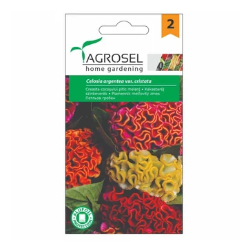 Kakastaréj színkeverék vetőmag - Agrosel - 74068