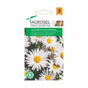 Évelő margaréta virágmag 5g Agrosel