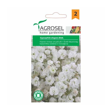 Fátyolvirág vetőmag