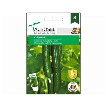 Uborka vetőmag Columna F1 - Agrosel - 74005