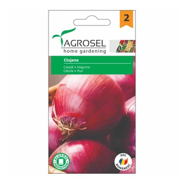 Lilahagyma vetőmag Clujana 2g - Agrosel