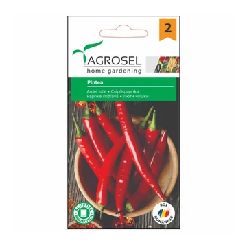 Paprika vetőmag Pintea 0,8 g - Agrosel-ag74104