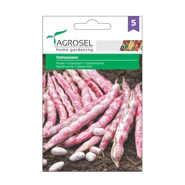 Szárazbab vetőmag Dalmaziano 45 g - Agrosel