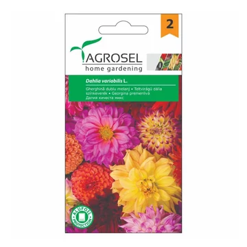 Teltvirágú dália vetőmag 1g - Agrosel