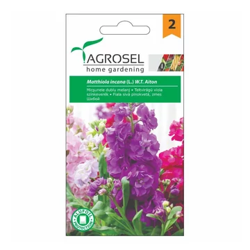 Teltvirágú viola színkeverék vetőmag 0.75g - Agrosel