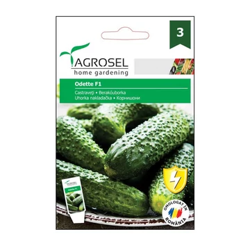 Uborka vetőmag Odette F1 20 szem - Agrosel-ag74095