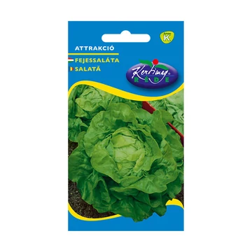 Fejessaláta vetőmag Attrakció 3g - Rédei Kertimag