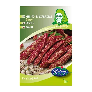 Szárazbab vetőmag Gypsy 50g