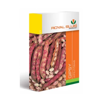 Kifejtőbab vetőmag  Gipsy 65g - Royal Sluis - rs7019