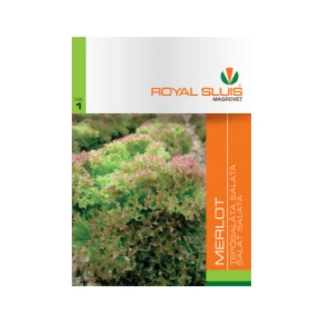Tépősaláta vetőmag Merlot 5g - Royal Sluis - rs7017
