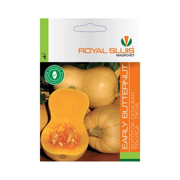 Sütőtök vetőmag Early Butternut 2,5g - Royal Sluis - rs7030