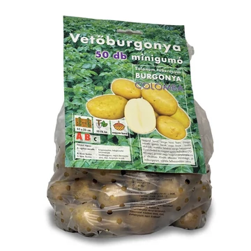 Vetőburgonya Colomba 50 gumós