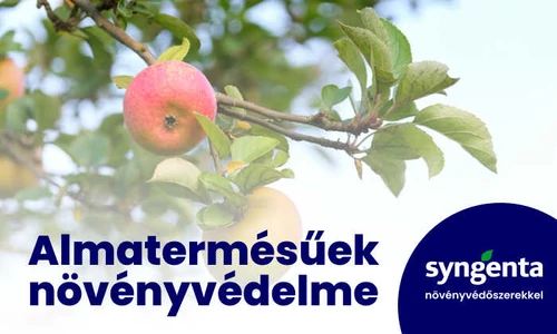 Az almatermésűek védelme Syngenta technológiával