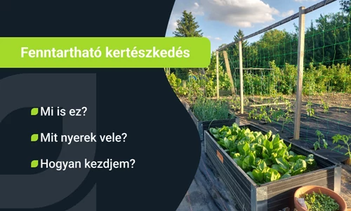 Fenntartható kertészkedés: Mi ez és hogy kezdjem?