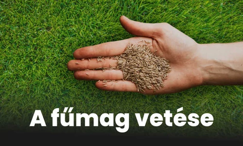 A fűmag vetése, a füvesítés lépései