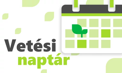 Vetési naptár, zöldségkalendárium