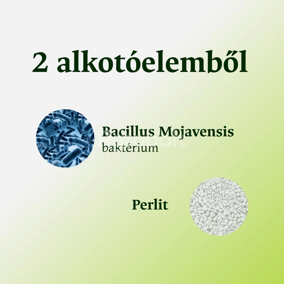 Amazon permetszer alkotóelemei