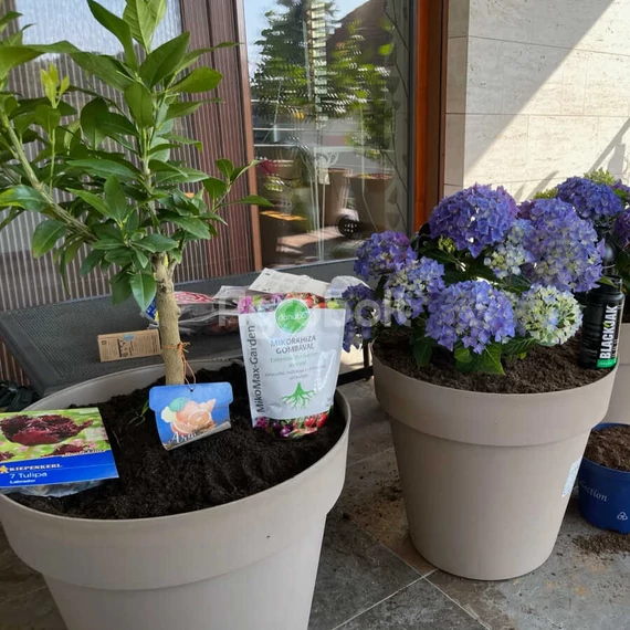 MikoMax Garden Mikorrhiza és biostimuláns