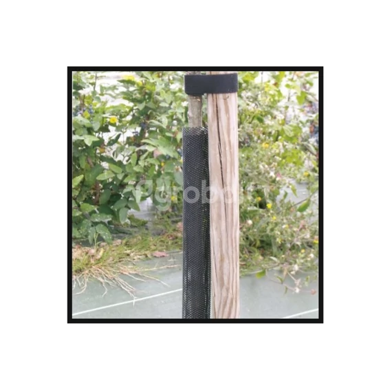 Facsemetevédő egy fán