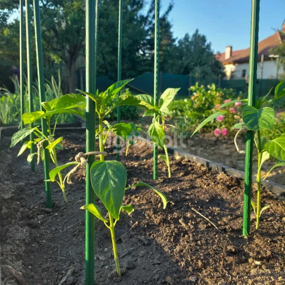 Műanyag bevonatos acél karó használatban