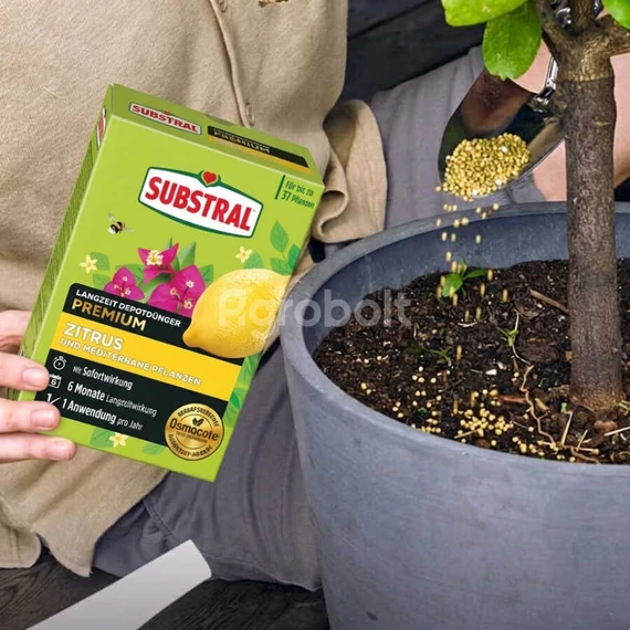 Citrus és mediterrán növény trágya - Substral Osmocote