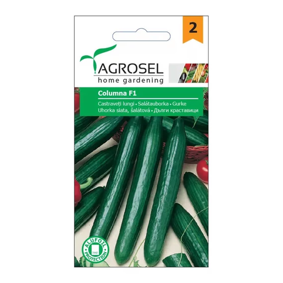 Uborka vetőmag Columna F1 - Agrosel - 74005