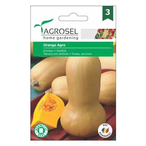 Sütőtök vetőmag Orange Agro - Agrosel - 74045