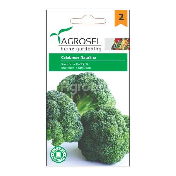 Brokkoli vetőmag Calabrese Natalino - Agrosel - 74055