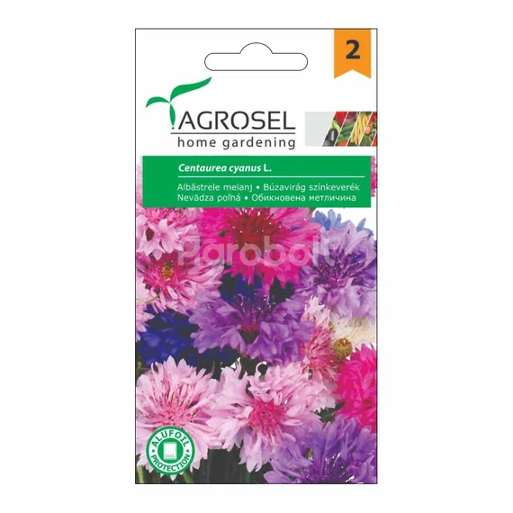 Búzavirág színkeverék vetőmag - Agrosel - 74080