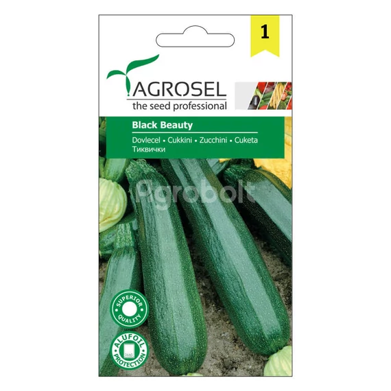 Cukkini vetőmag Black Beauty - Agrosel - 74039