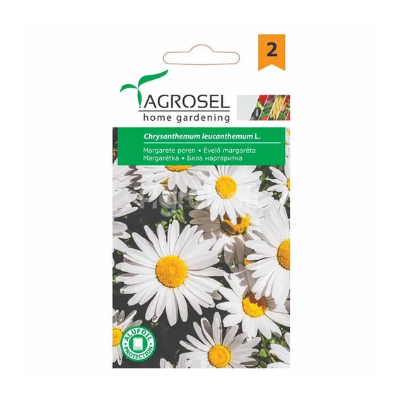 Évelő margaréta virágmag 5g Agrosel