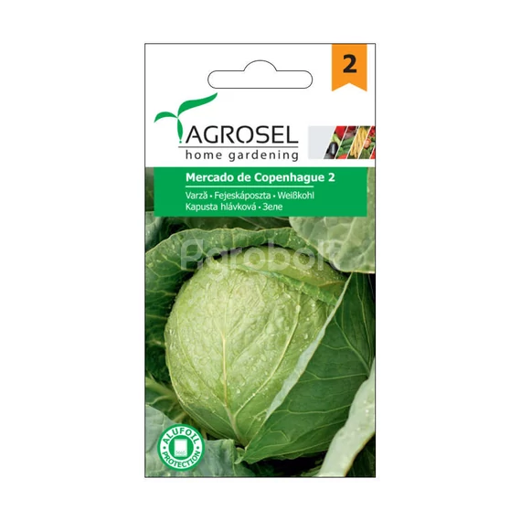 Fejeskáposzta vetőmag Mercado de Copenhague 2 - Agrosel - 74056
